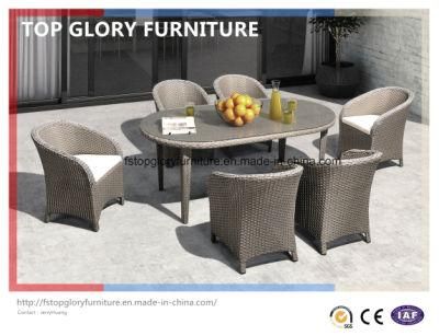 Outdoor Dining Table Chair (TG-1610)