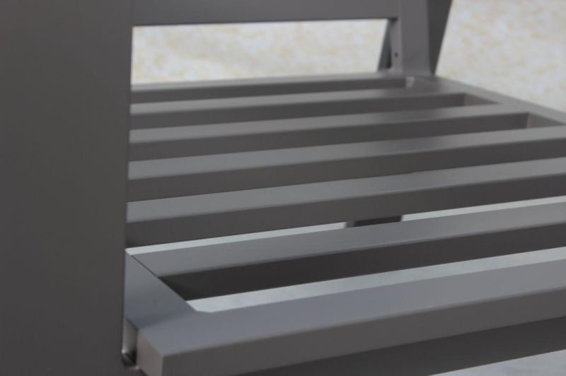 Selectional Garden Patio Aluminum Lounger Set Outdoor Furniture with Cushion