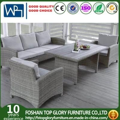 Outdoor Sofa Design for Garden Used Aluminum Frame and Rattan to Be Finished (TG-073)