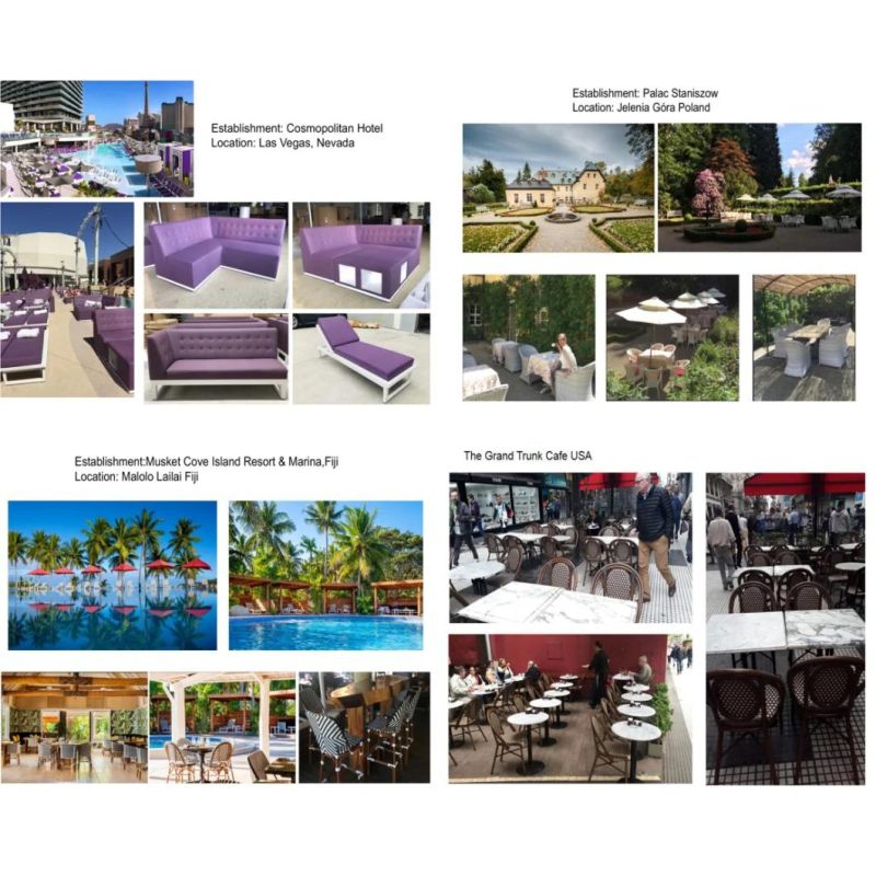 Modern Style Patio Garden Outdoor Furniture Dining Sets/Rope Woven Banquet Sets