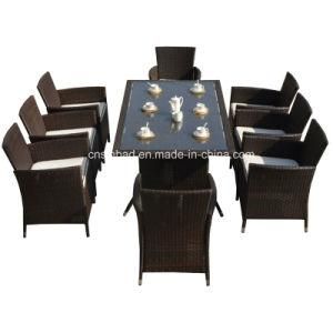 Rattan Furniture for Indoor / Outdoor with 8 Seater / SGS (4006-1)