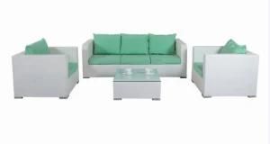 Spain Sectional Outdoor Plastic Sofa (CNS-1064)