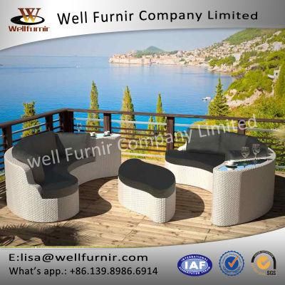 Well Furnir Rattan Garden Furniture Special Design Sofa Set (T-058)