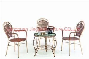 Cheap Iron Rattan Dining Outdoor Garden Furniture (JJ-S461&575)