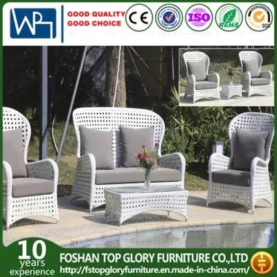 Outdoor Synthetic Sofa Garden Outdoor Furniture with Tea Table Rattan Furniture Set (TG-1505)