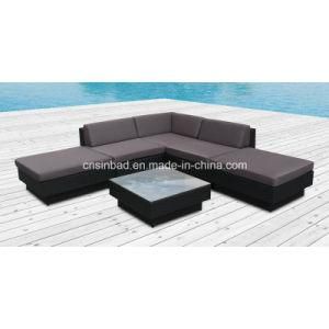 Wicker Furniture Rattan Sofa Set for Garden with Aluminum Frame (9509)
