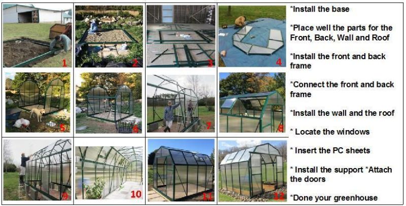 Smart Design Farming Use Polycarbonate Sheet Walk in Hobby Greenhouses Gazebo (RDGS0819-6mm)