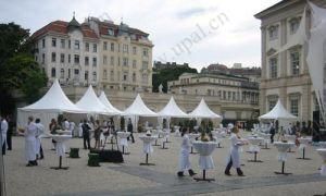 Aluminum Pagoda Tent, Event Party Tent, Pavilion Marquee