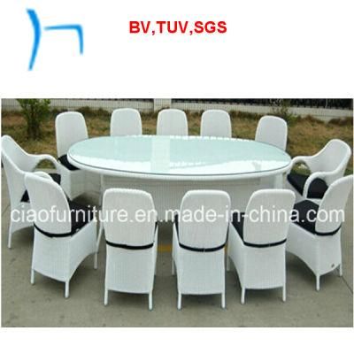 F -Outdoor Furniture Wicker Dining Table and Chair (CZ-2064)