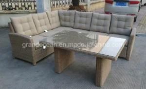 Garden PE Rattan Wicker Furniture