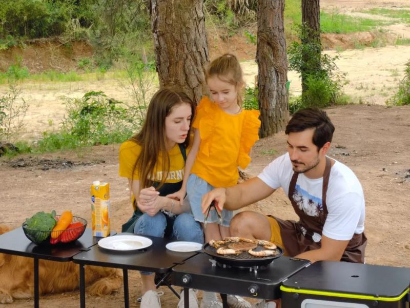 up-to-Date Folding Picnic Table with Gas Stoves for Camping