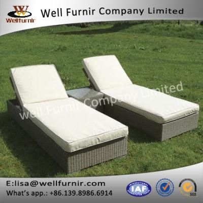 Well Furnir Synthetic Rattan Hand Wovean Sun Lounge Set (T-044)