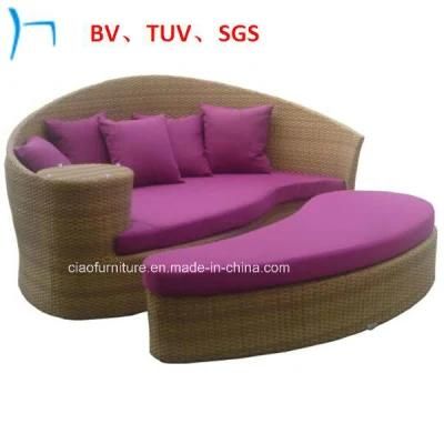Outdoor Furniture Rattan Furniture Wholesale Garden Leisure Sun Beds (FL015+FO016)