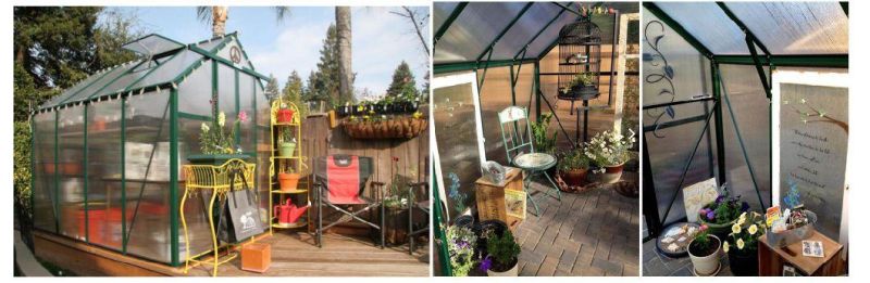 8X8 Feet Barnshaped Roof Space Outdoor Furniture Walk in Hobby Greenhouse Rdgu0808h-10mm