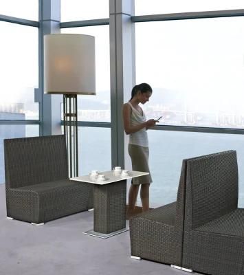 Garden Patio Wicker/Rattan Furniture Dining Set (LN-2049)