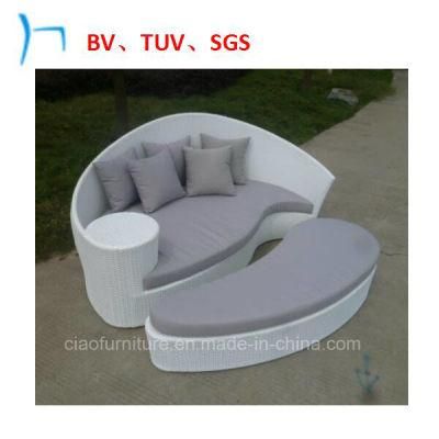 Outdoor Furniture Patio Furniture Leisure Sun Bed (FL015)