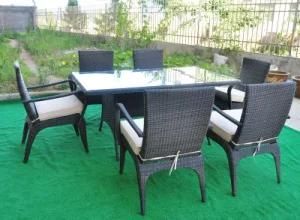 Hot Item Rattan Dining Set