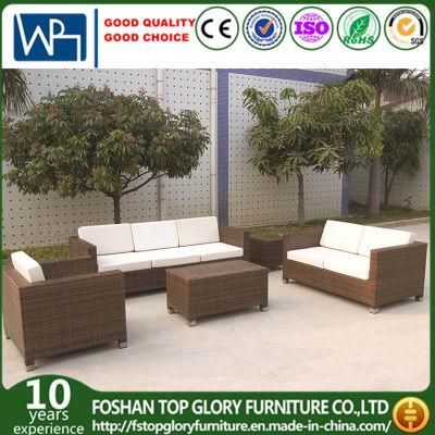 Modern Rattan Sofa Patio Furniture Garden Furniture (TG-JW14)