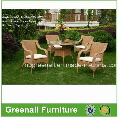 Garden Patio Wicker Rattan Outdoor Dining Chair Table Hotel Furniture (GN-8645D)