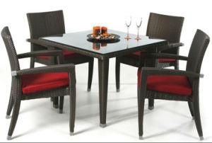 Rattan Chair and Table of Outdoor Furniture (HB-1214)