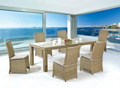 Garden/Patio Wicker Dining Sets for Outdoor Furniture (LN-1003)