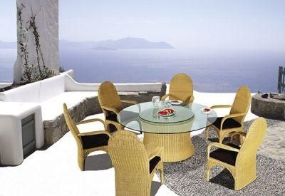 Modern Outdoor Furniture Rattan Chair and Table (YT-056-1C, YT-056-1Z)