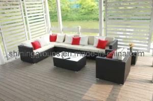 Outdoor Furniture &amp; Patio Sofa Set (C193)