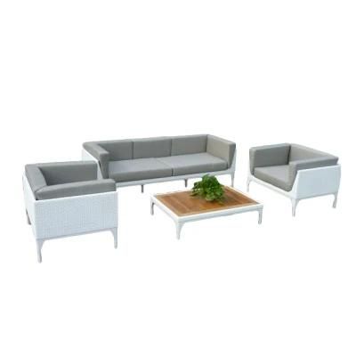 Chinese Furniture Rattan Sofa Set with Teakwood Table