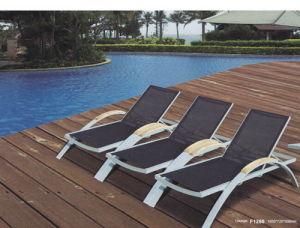 Lounge Chair /Lounge Furniture/Outdoor Furniture