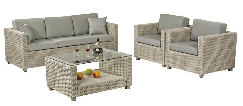 Outdoor/Garden/Rattan Furniture Poly Rattan Sofa Set