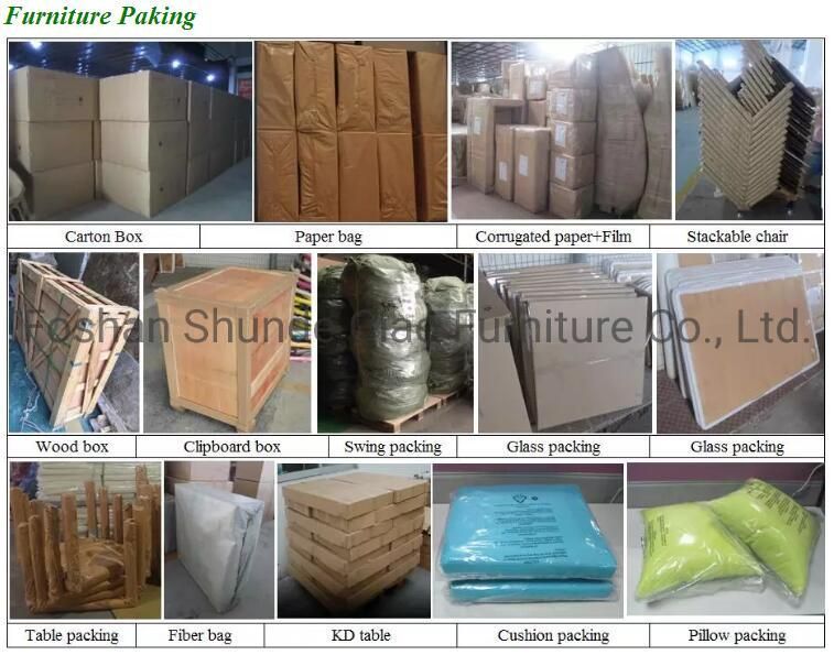 C-Foshan Outdoor PE Rattan Sun Bed with Canopy Outdoor Furniture