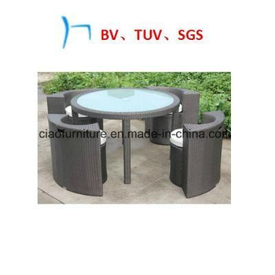Garden Furniture Rattan Dining Furniture Leisure Table and Chair (7025)