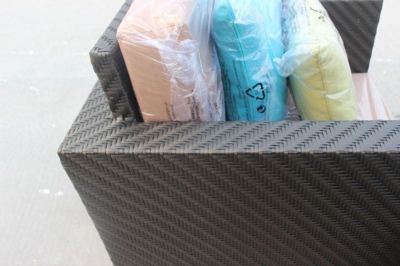 Fish Bone Weaving PE Rattan Sofa Furniture