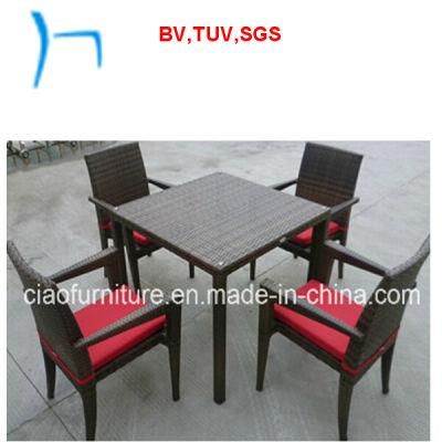 F- Outdoor Garden Furniture Rattan Dining Table and Chair (2107+2048AC)