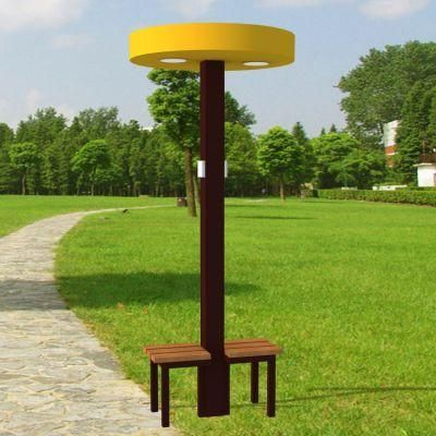 Solar Streetlight with Mobile Charging Port for Tourism Area
