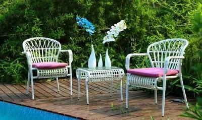 Indoor and Outdoor Leisure Chair and Coffee Table